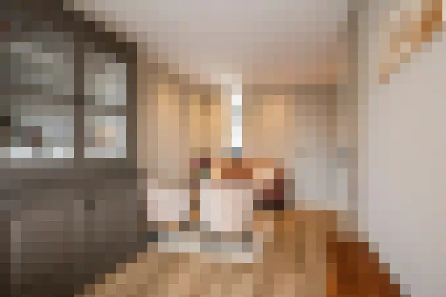 Dr Poelsstraat 2 A Wateringen thumbnail 10