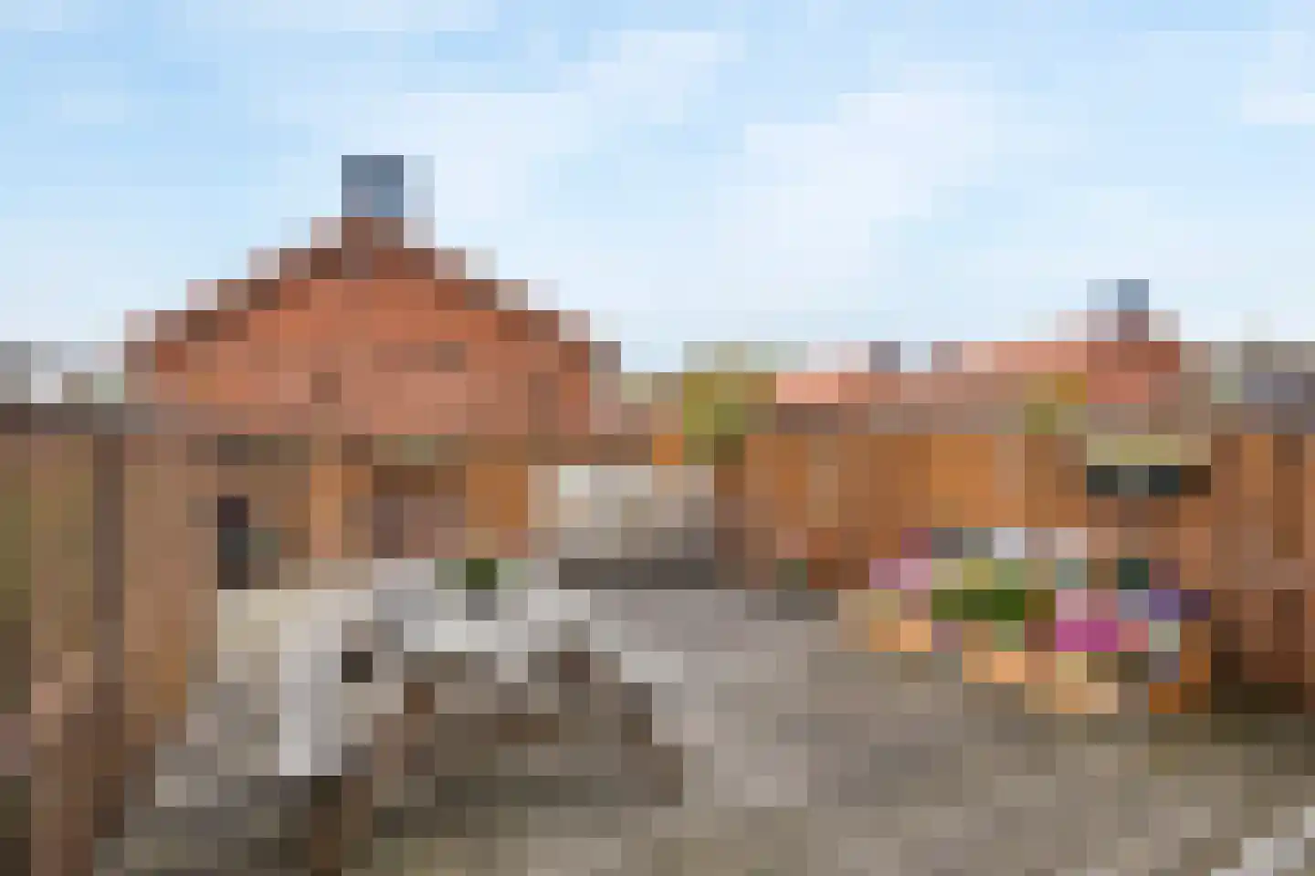 Dr Poelsstraat 2 A Wateringen thumbnail 32