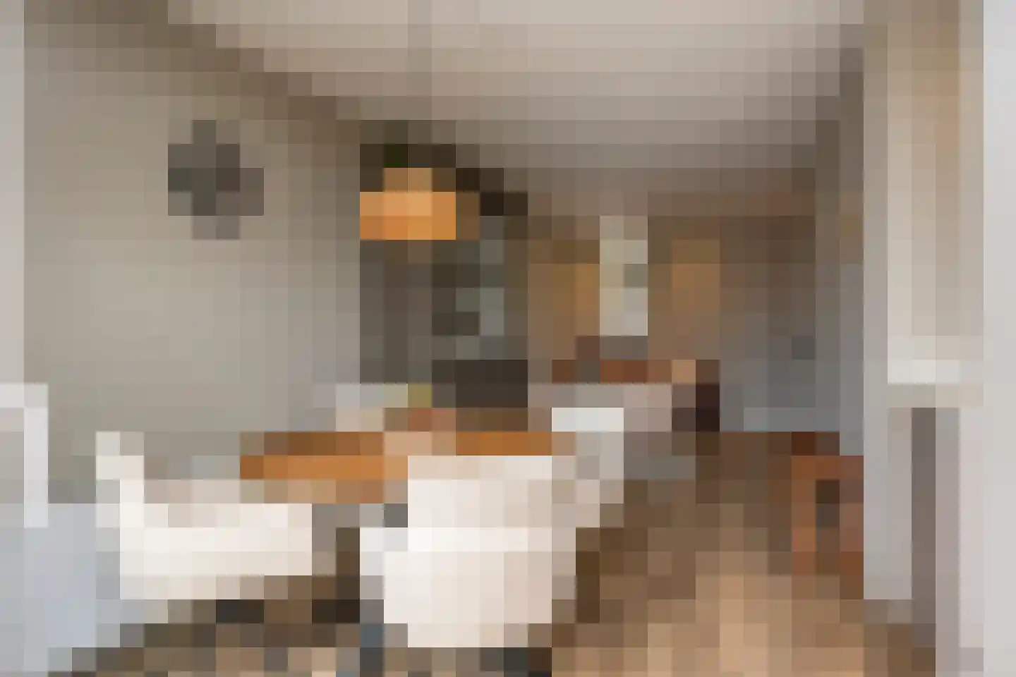 Dr Poelsstraat 2 A Wateringen thumbnail 38