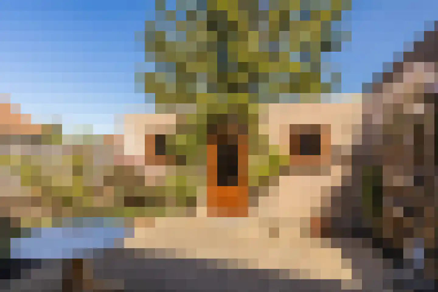 Dr. Poelsstraat 20 Einighausen thumbnail 32