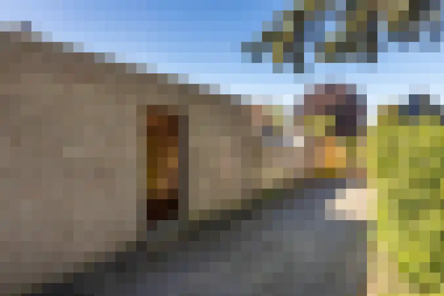 Dr. Poelsstraat 20 Einighausen thumbnail 34