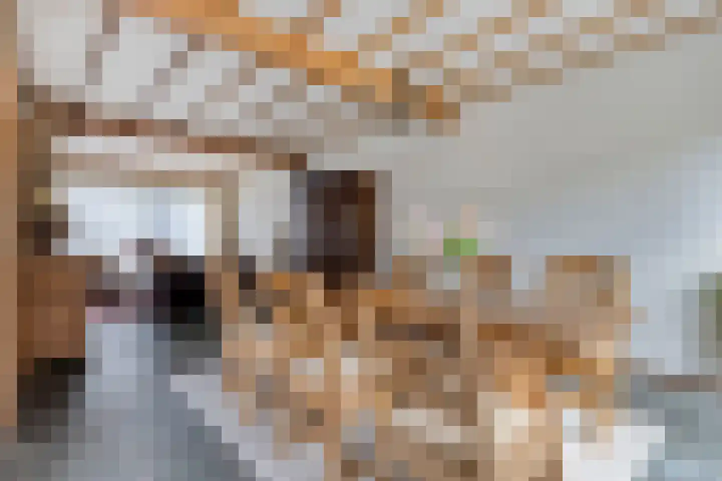Dr. Poelsstraat 20 Venray thumbnail 16
