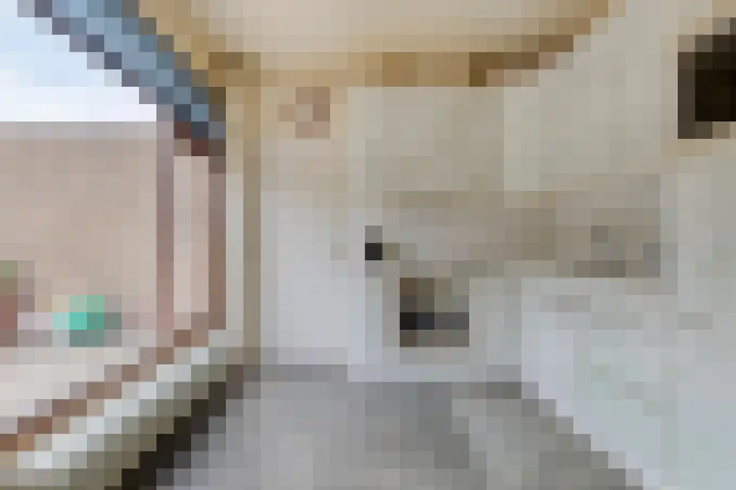 Dr. Poelsstraat 20 Venray thumbnail 17