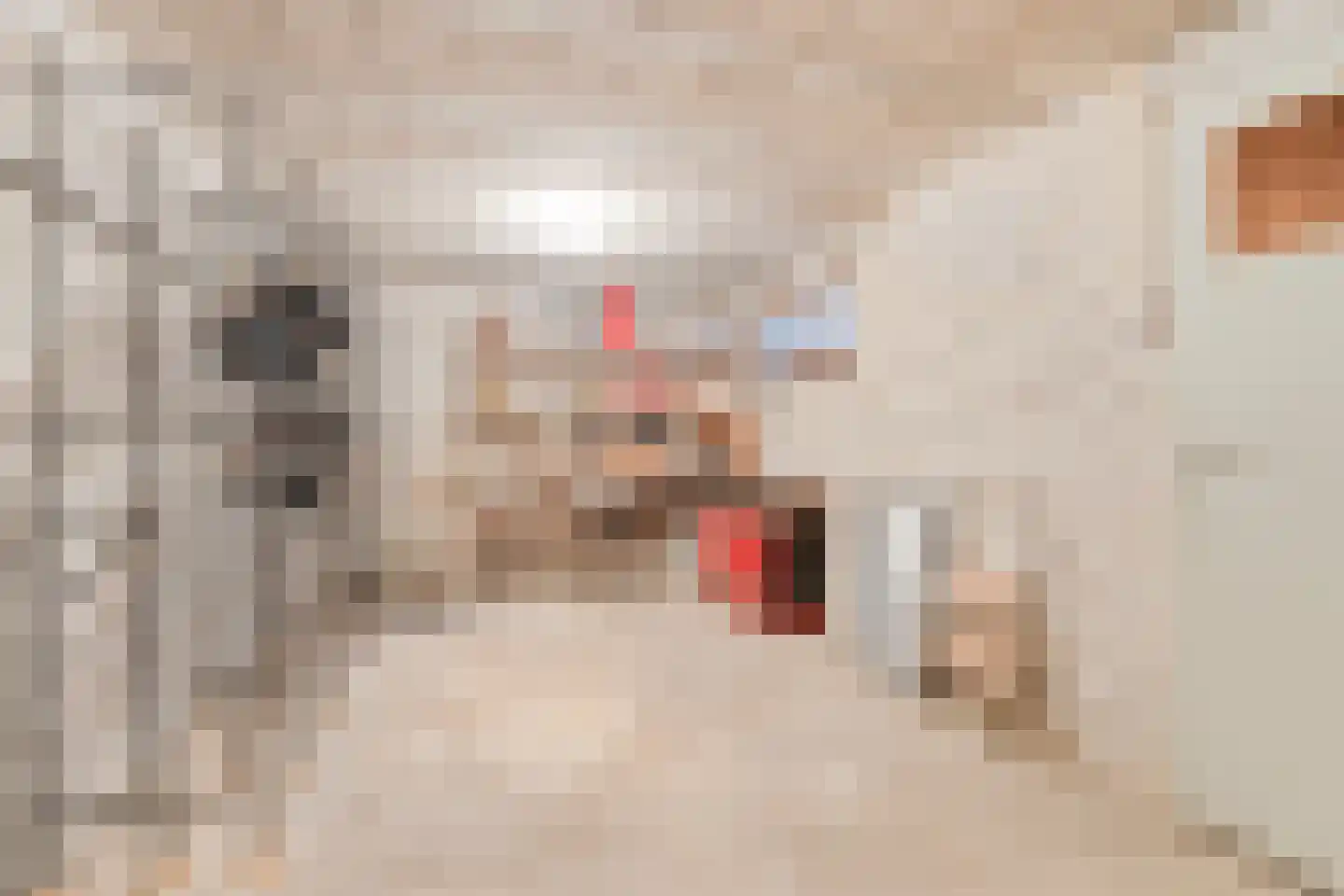 Dr. Poelsstraat 20 Venray thumbnail 25