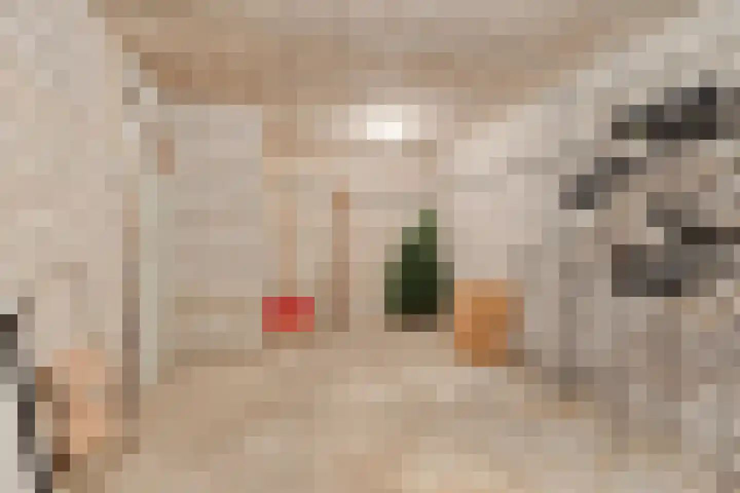 Dr. Poelsstraat 20 Venray thumbnail 26