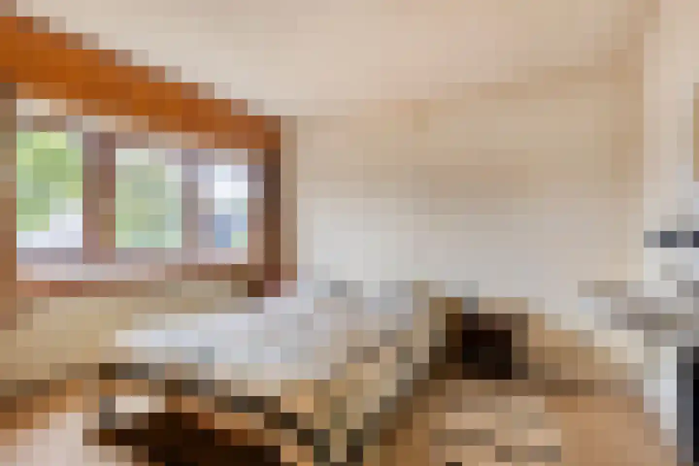 Dr. Poelsstraat 20 Venray thumbnail 29
