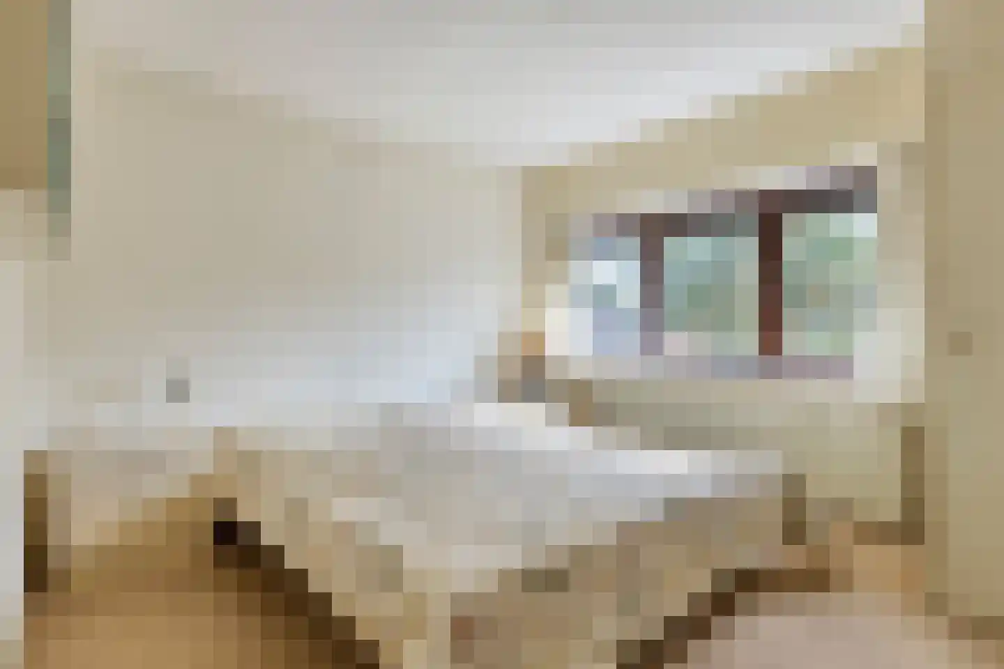 Dr. Poelsstraat 20 Venray thumbnail 31