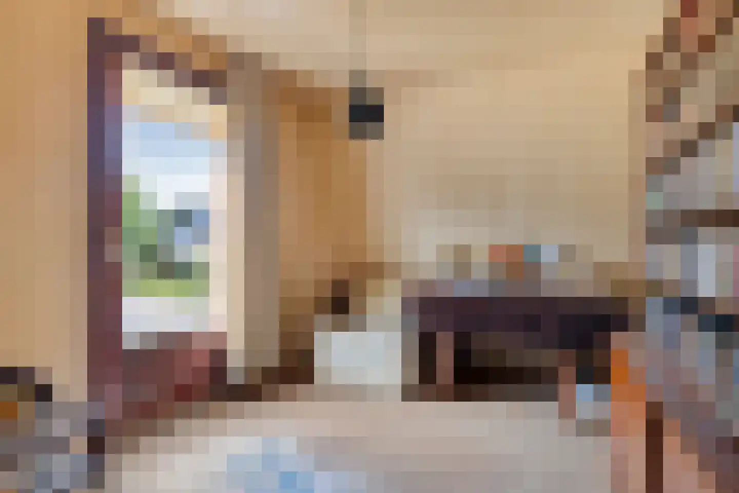 Dr. Poelsstraat 20 Venray thumbnail 32