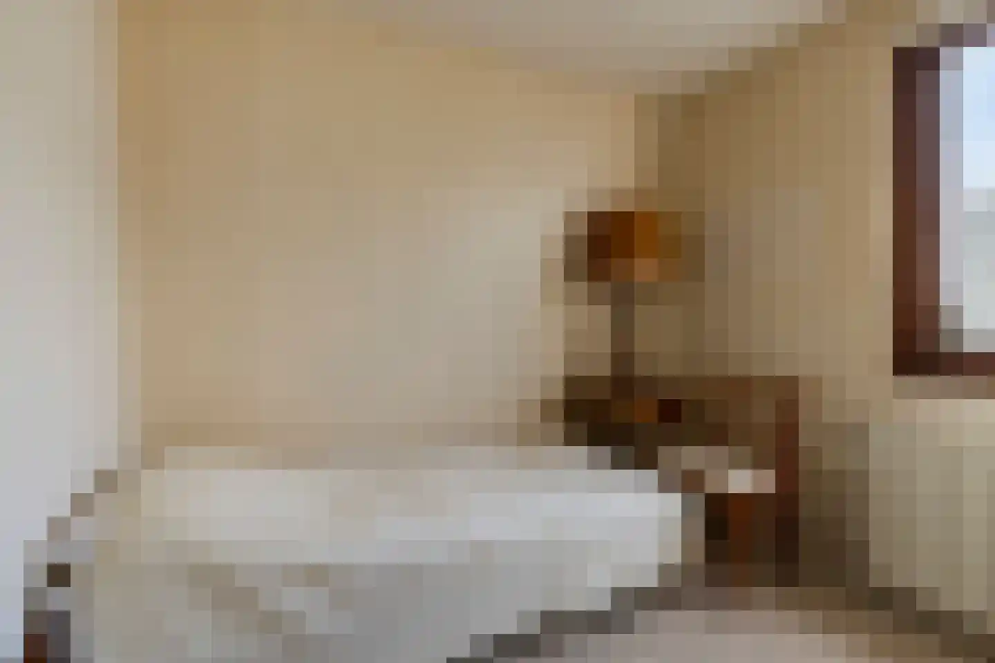 Dr. Poelsstraat 20 Venray thumbnail 33