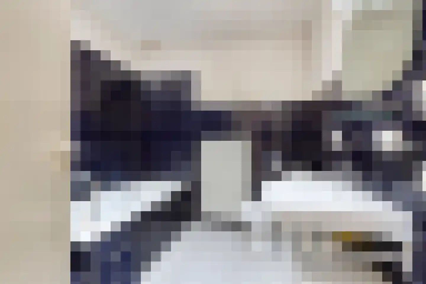Dr. Poelsstraat 20 Venray thumbnail 34
