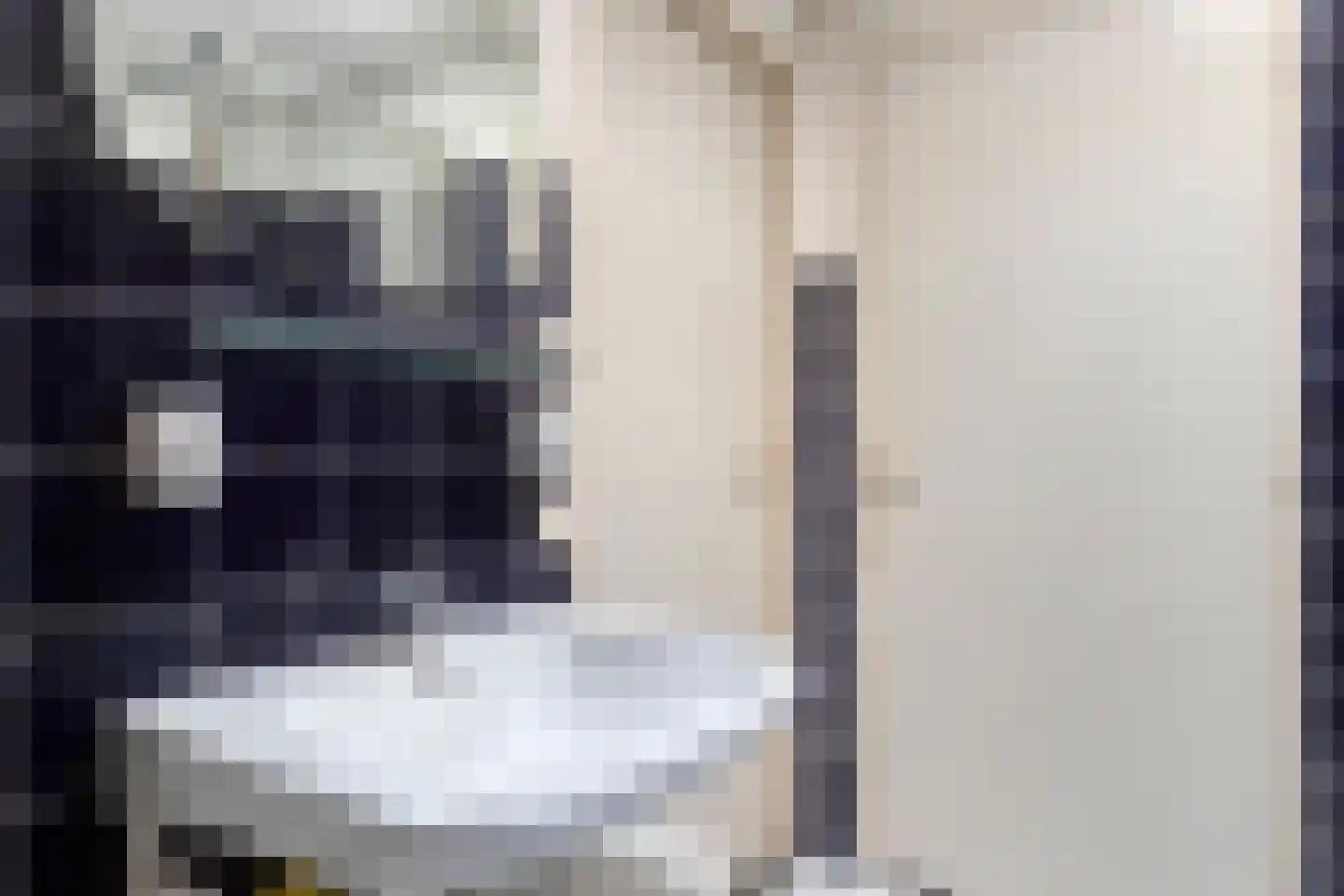Dr. Poelsstraat 20 Venray thumbnail 36
