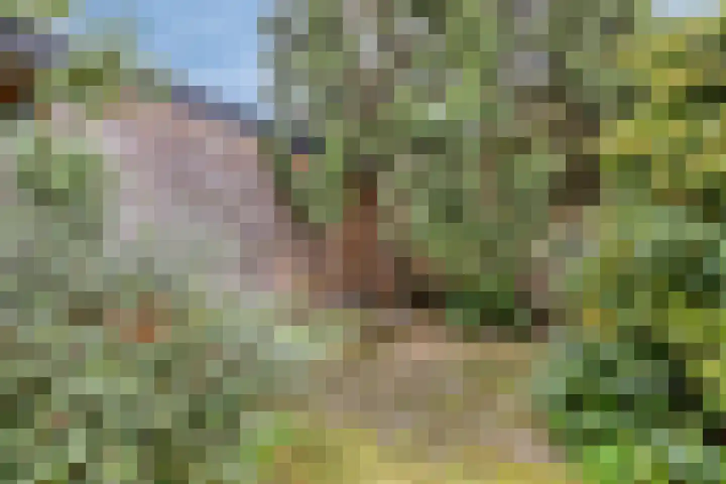 Dr. Poelsstraat 20 Venray thumbnail 40