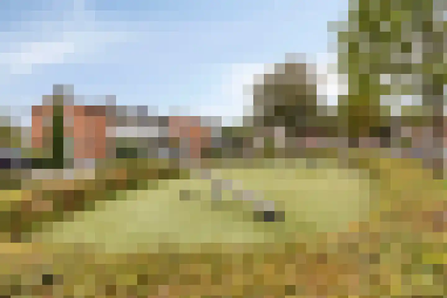 Dr. Poelsstraat 20 Venray thumbnail 46