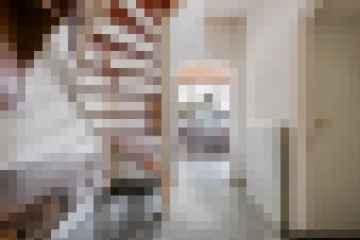 Dr. Poelsstraat 20 Venray thumbnail 9