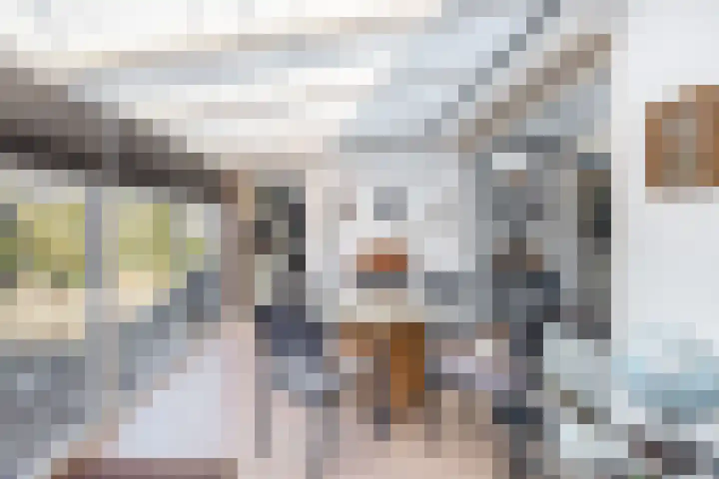 Dr. Poelsstraat 21 Standdaarbuiten thumbnail 16