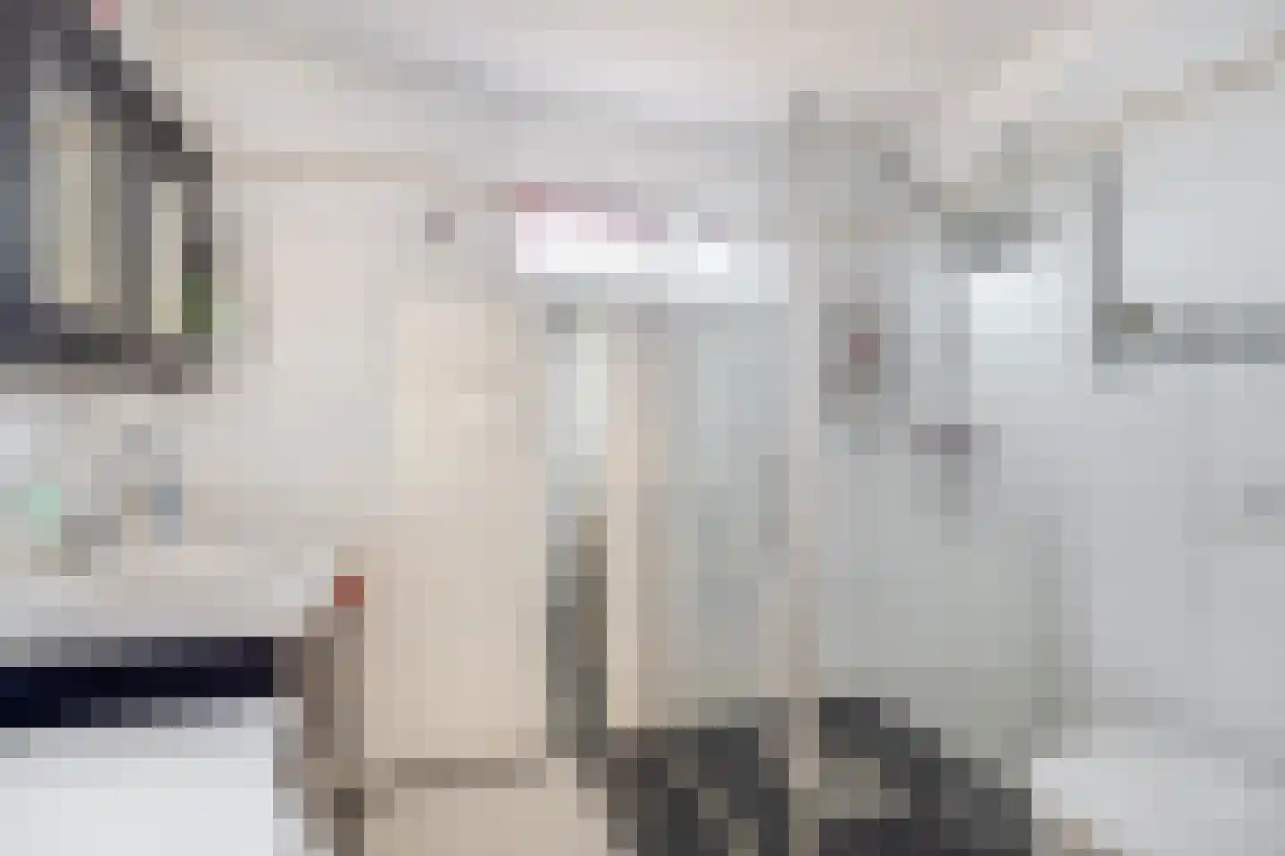 Dr. Poelsstraat 21 Standdaarbuiten thumbnail 24