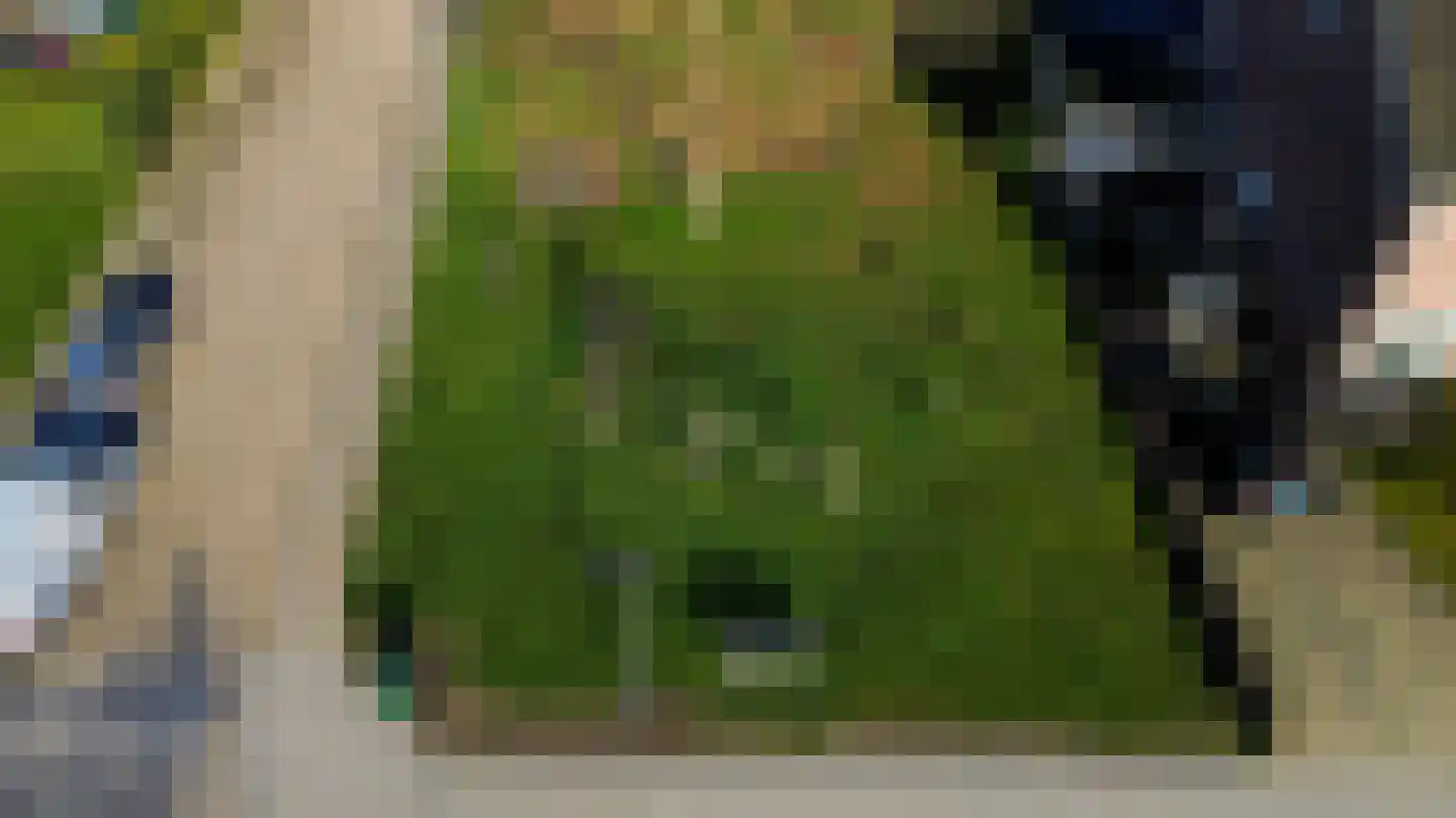 Dr. Poelsstraat 21 Standdaarbuiten thumbnail 33