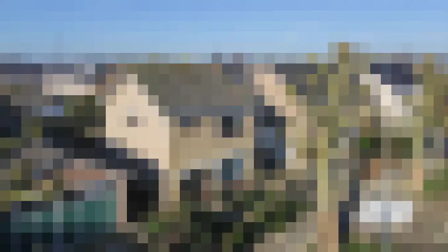 Dr. Poelsstraat 21 Standdaarbuiten thumbnail 6