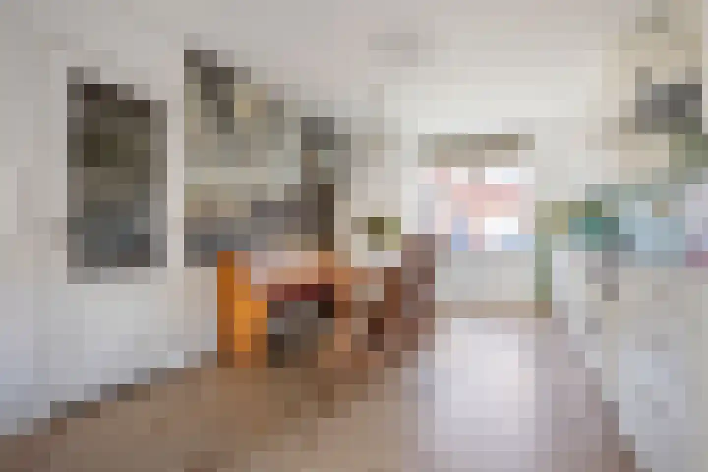 Dr Poelsstraat 22 Wateringen thumbnail 17
