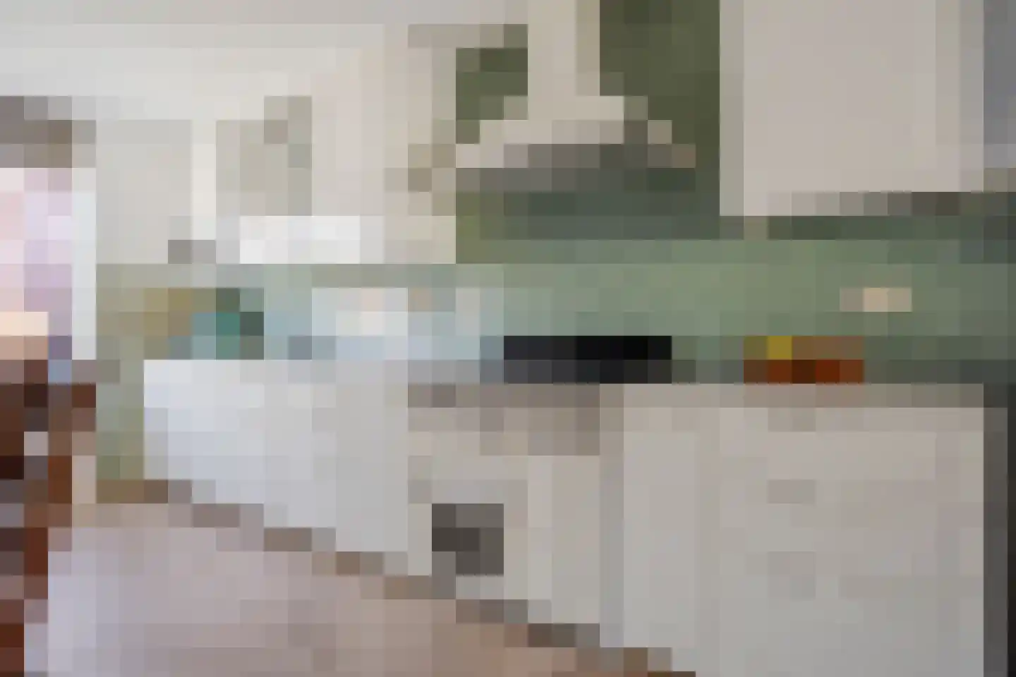 Dr Poelsstraat 22 Wateringen thumbnail 21