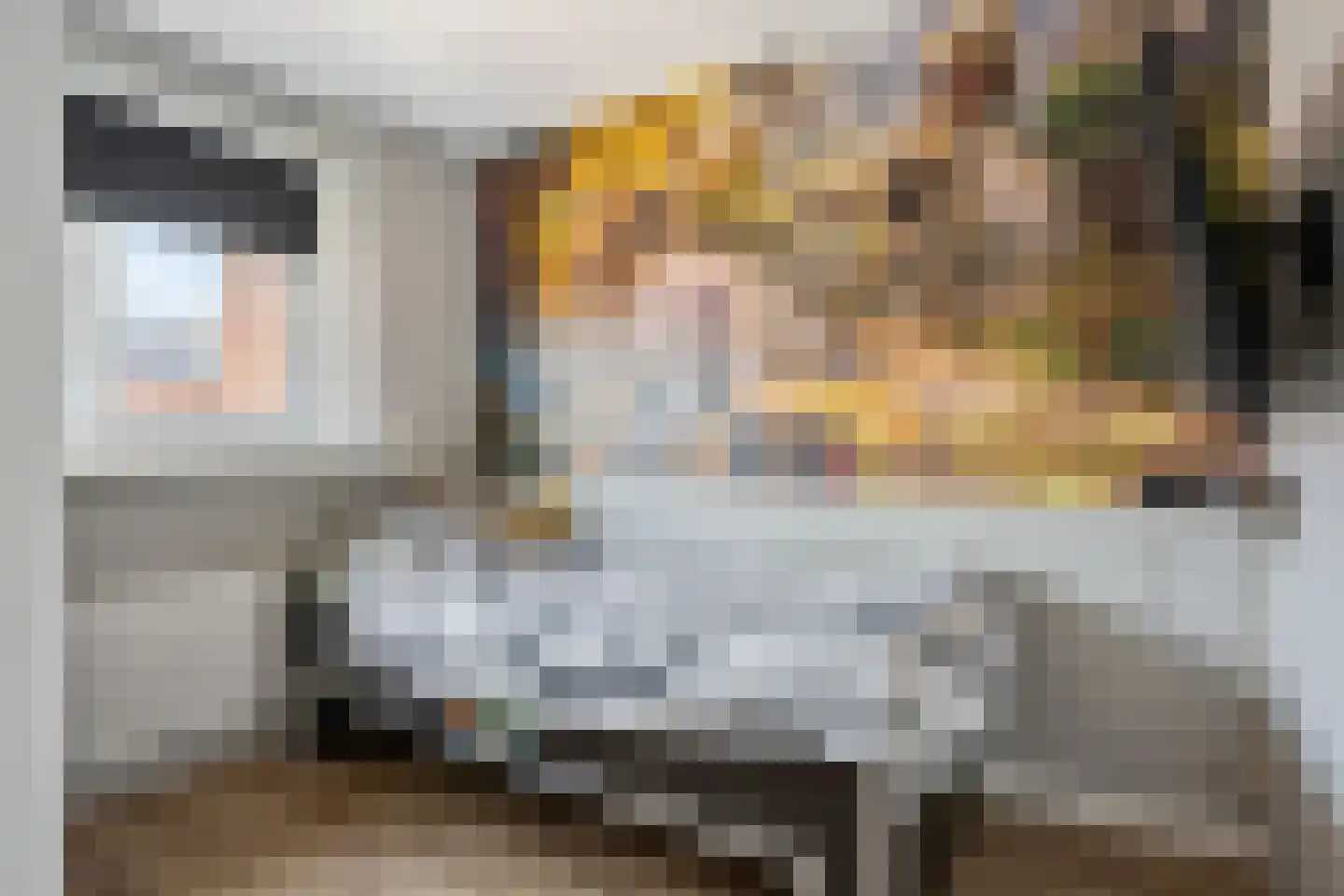 Dr Poelsstraat 22 Wateringen thumbnail 30