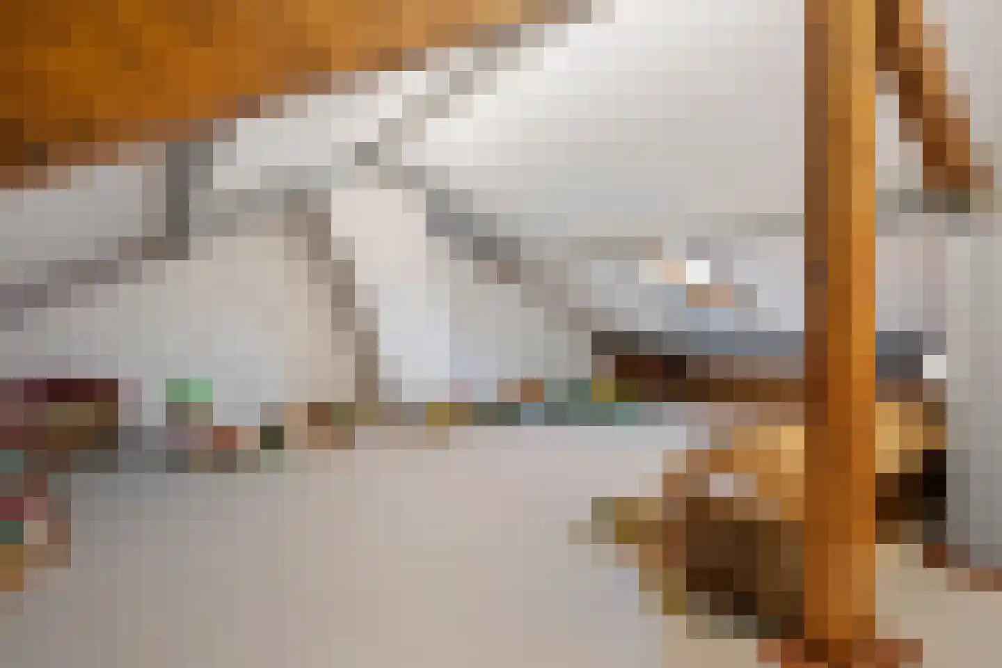 Dr Poelsstraat 22 Wateringen thumbnail 38