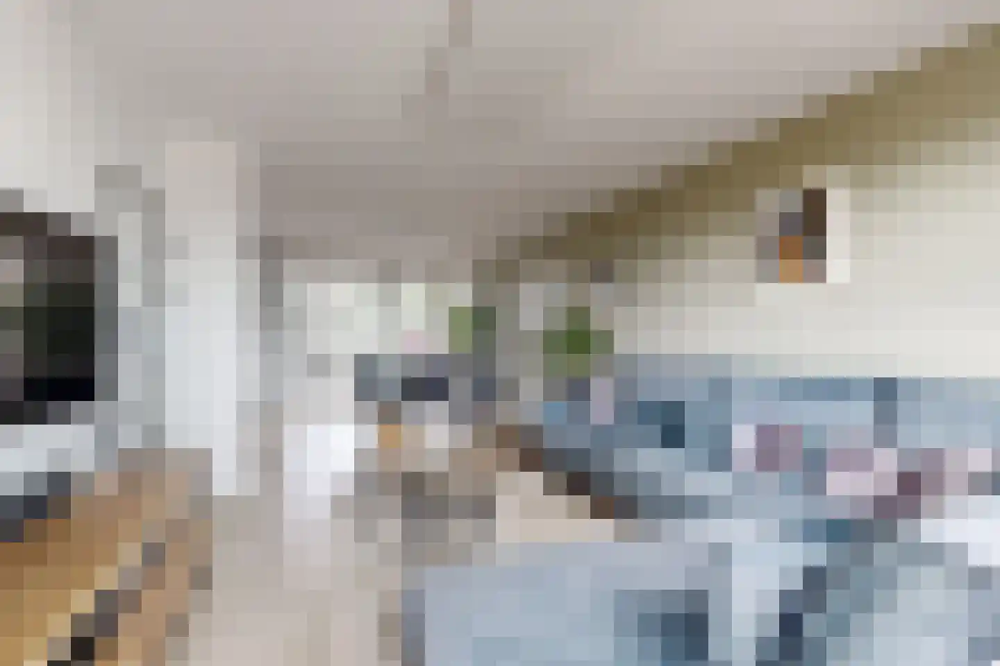 Dr. Poelsstraat 23 Standdaarbuiten thumbnail 14