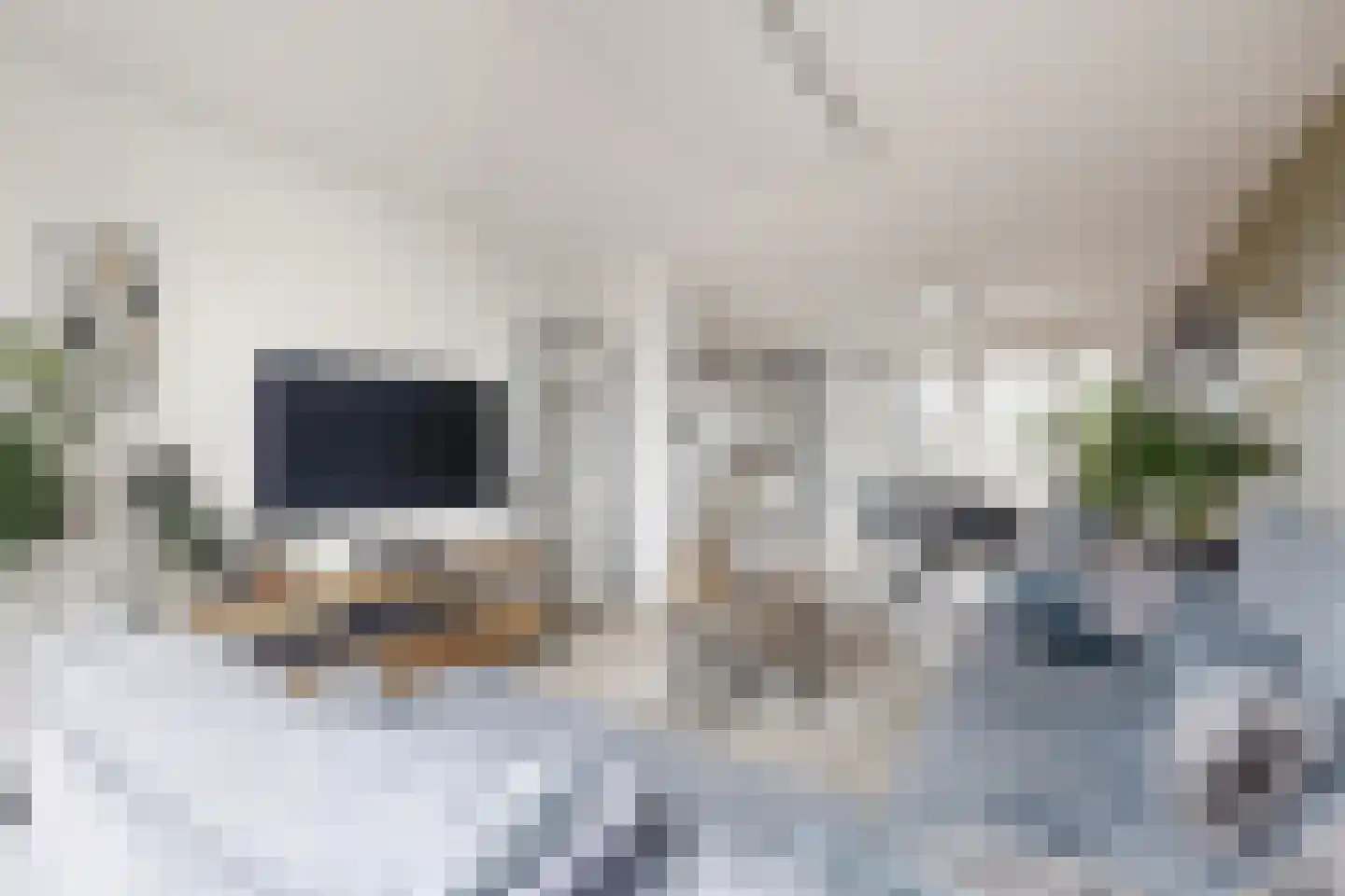 Dr. Poelsstraat 23 Standdaarbuiten thumbnail 15
