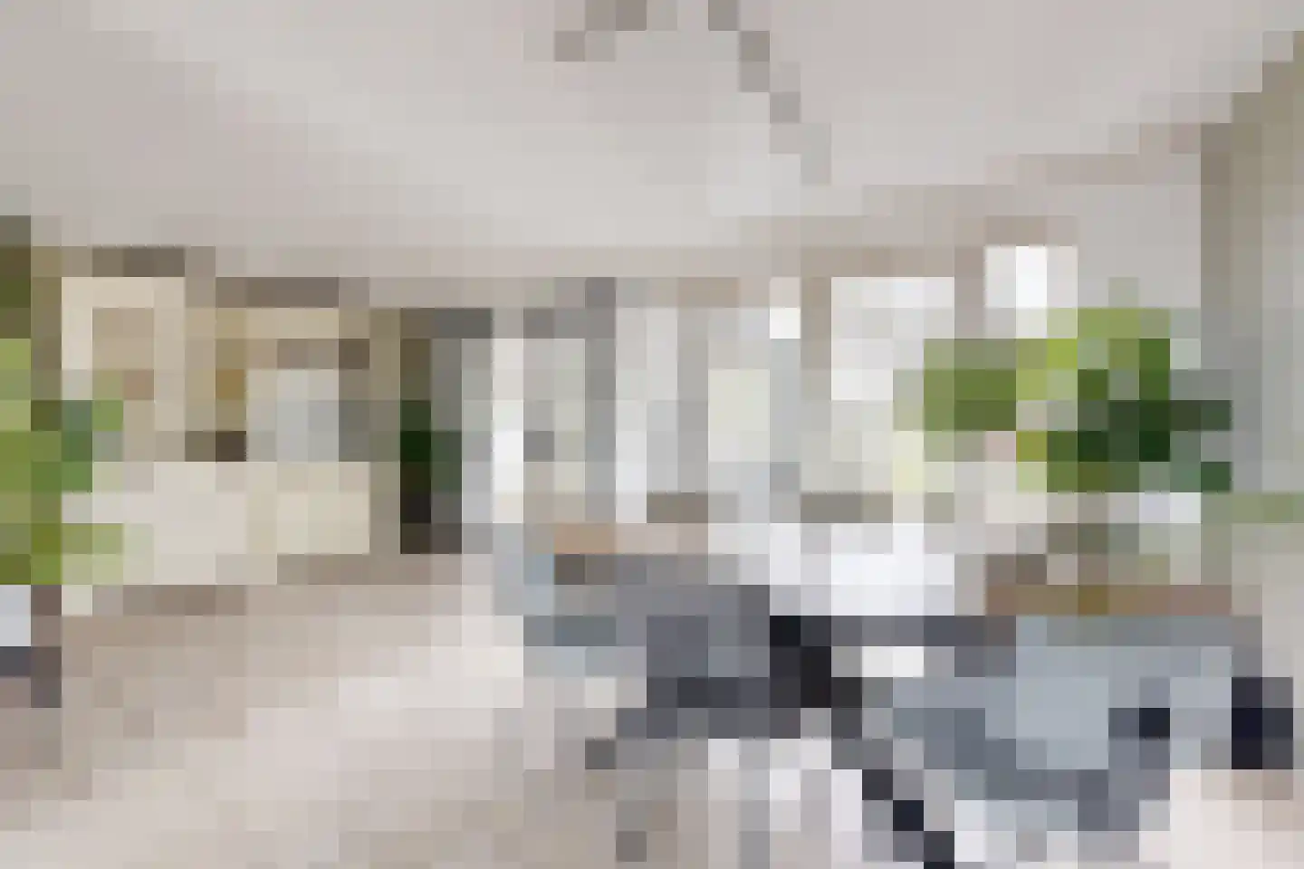 Dr. Poelsstraat 23 Standdaarbuiten thumbnail 17