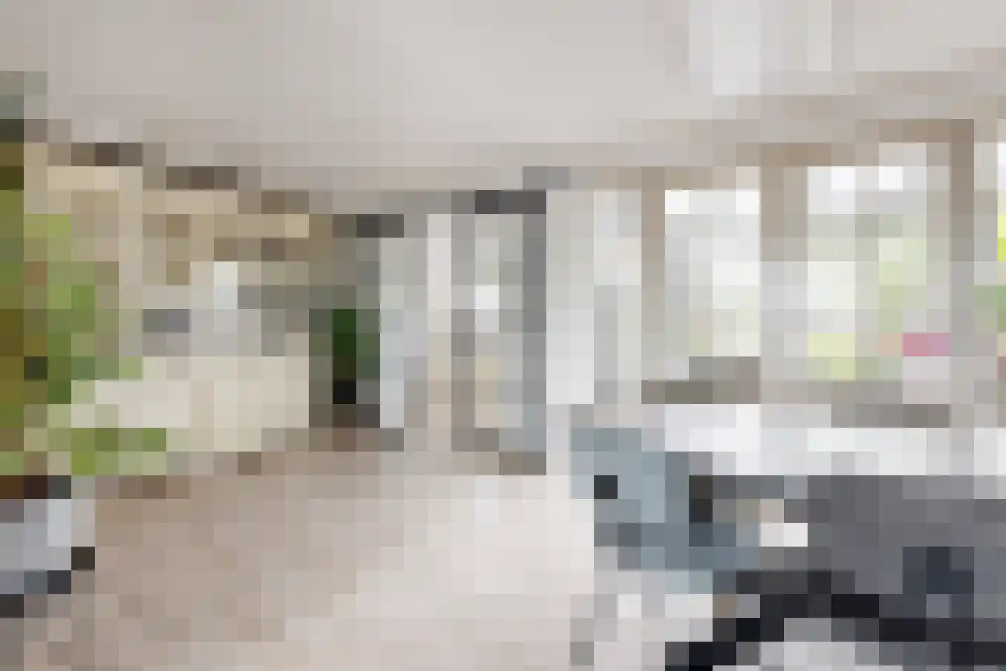 Dr. Poelsstraat 23 Standdaarbuiten thumbnail 18