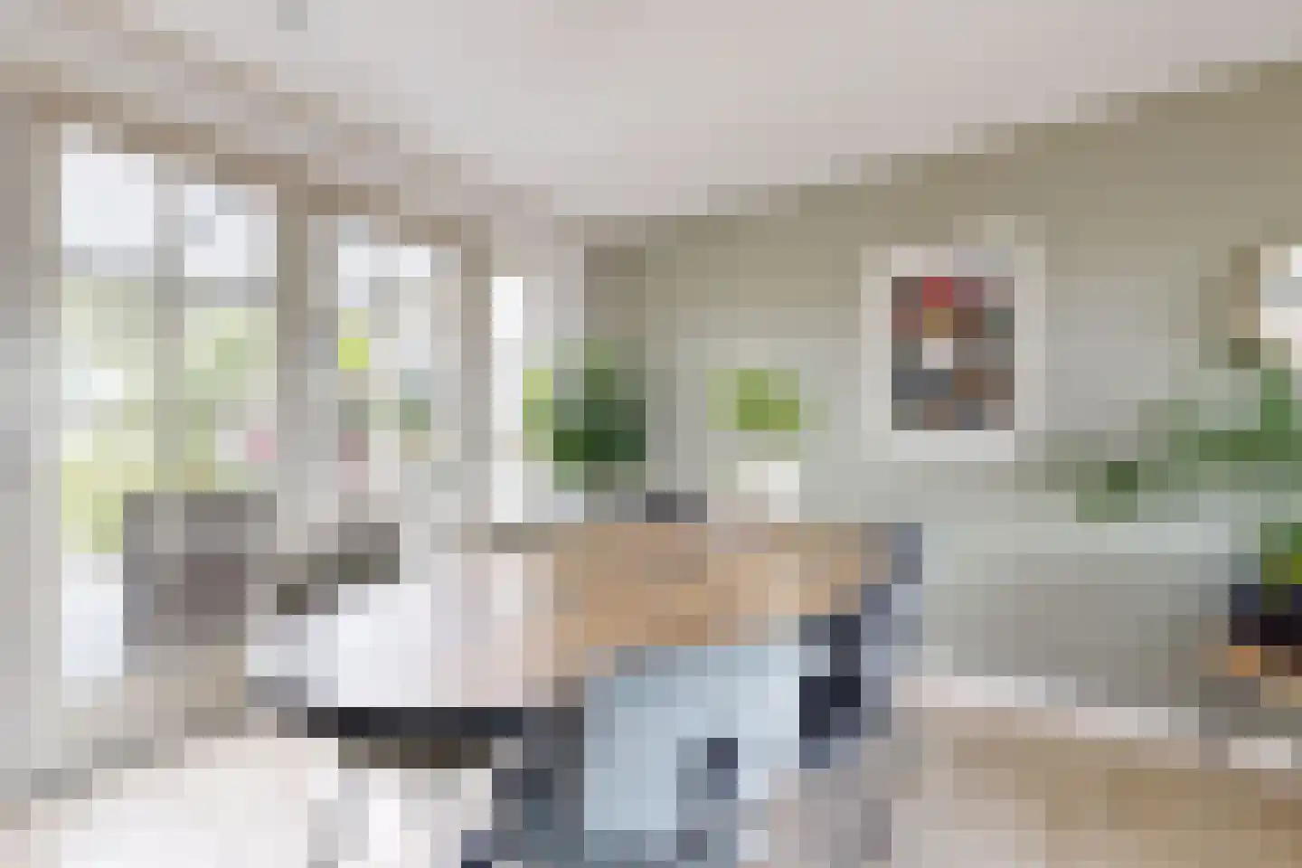 Dr. Poelsstraat 23 Standdaarbuiten thumbnail 19