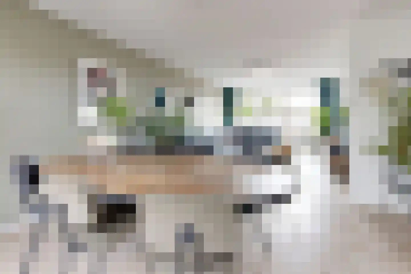Dr. Poelsstraat 23 Standdaarbuiten thumbnail 20