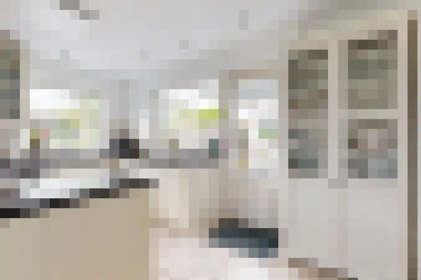 Dr. Poelsstraat 23 Standdaarbuiten thumbnail 31
