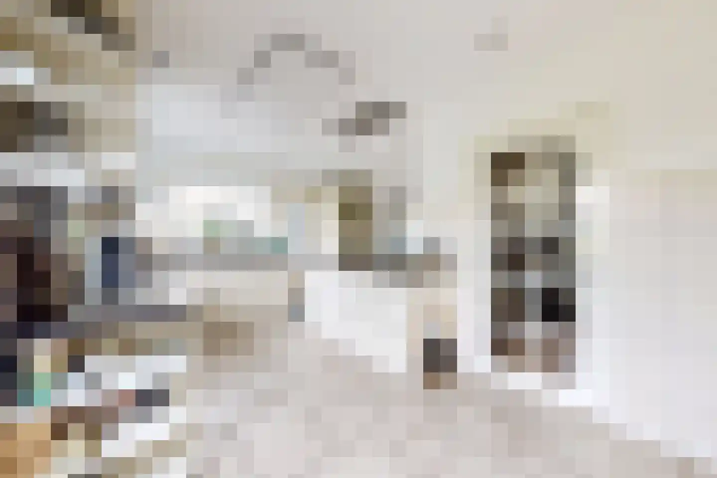 Dr. Poelsstraat 23 Standdaarbuiten thumbnail 34