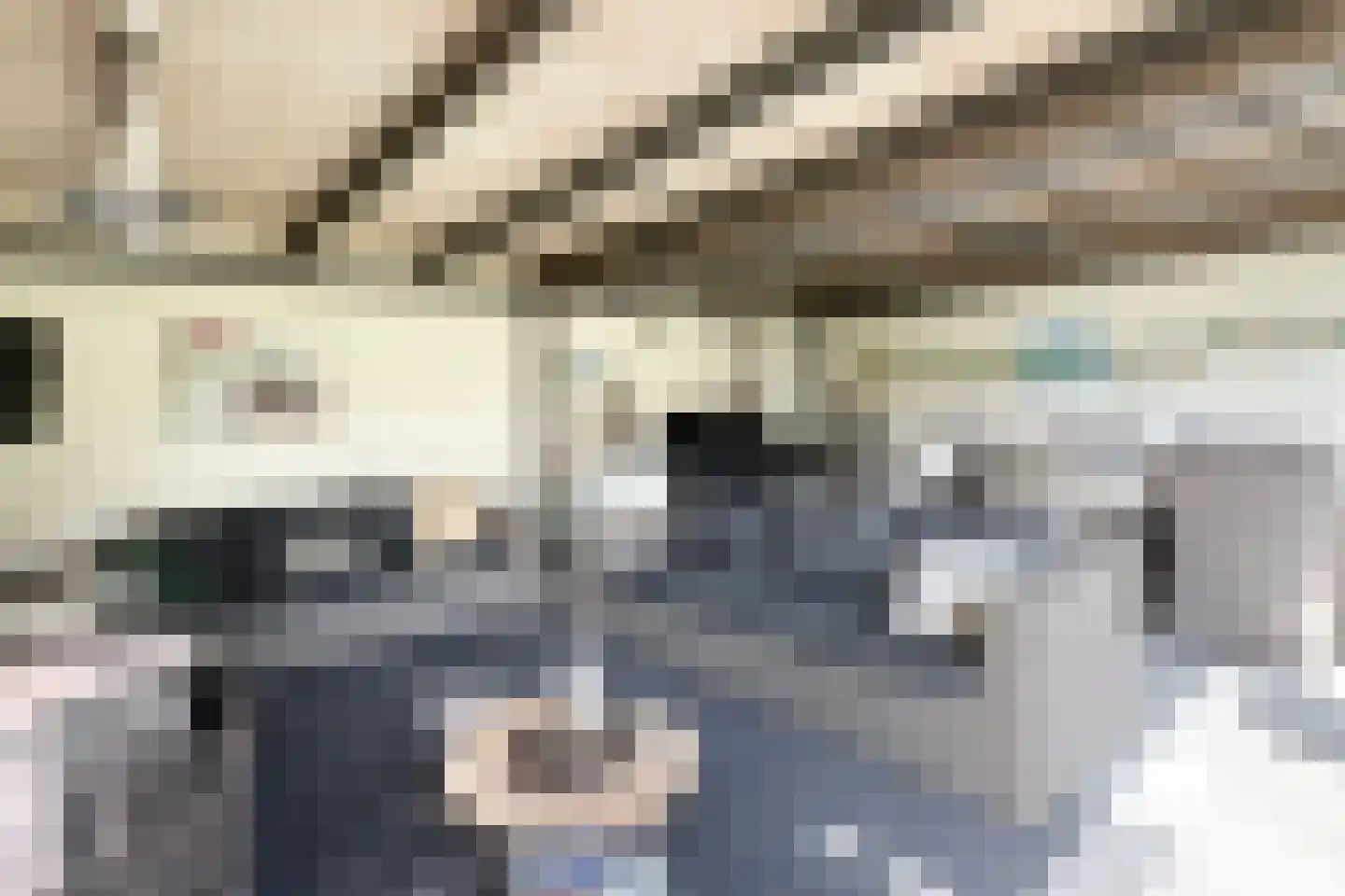 Dr. Poelsstraat 23 Standdaarbuiten thumbnail 5
