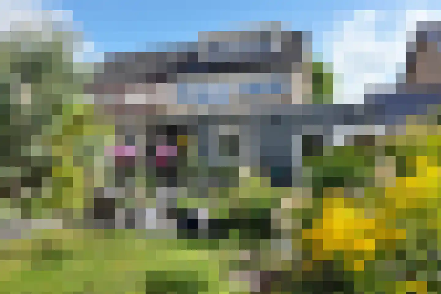 Dr. Poelsstraat 23 Standdaarbuiten thumbnail 6