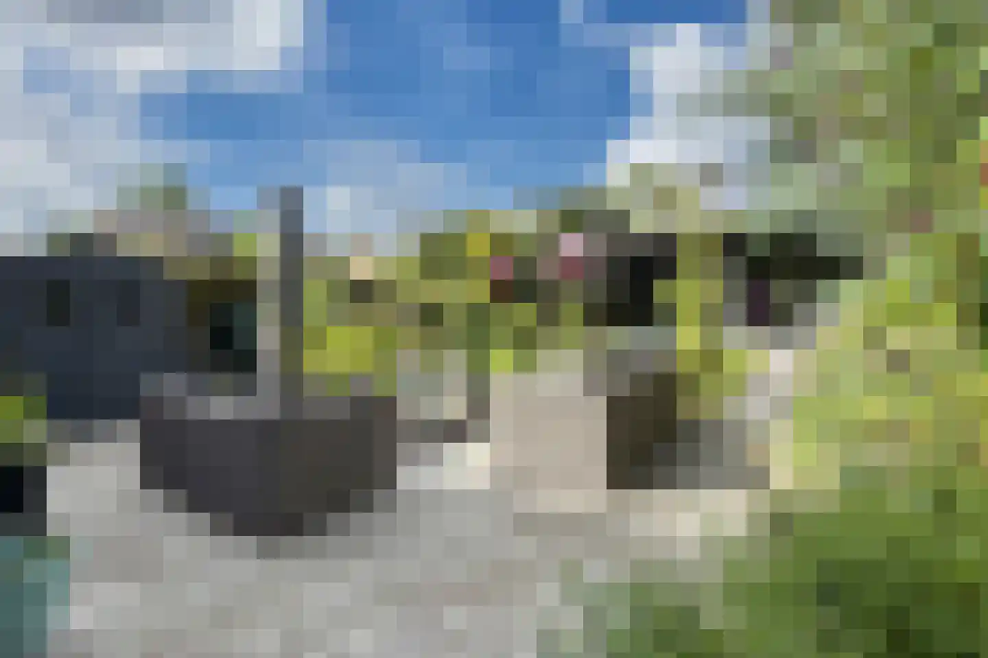Dr. Poelsstraat 23 Standdaarbuiten thumbnail 61
