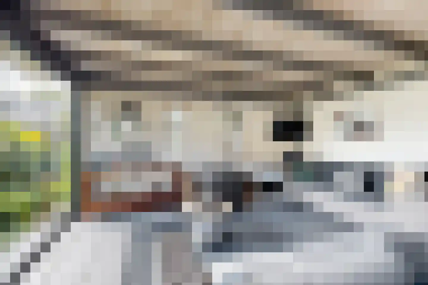 Dr. Poelsstraat 23 Standdaarbuiten thumbnail 69