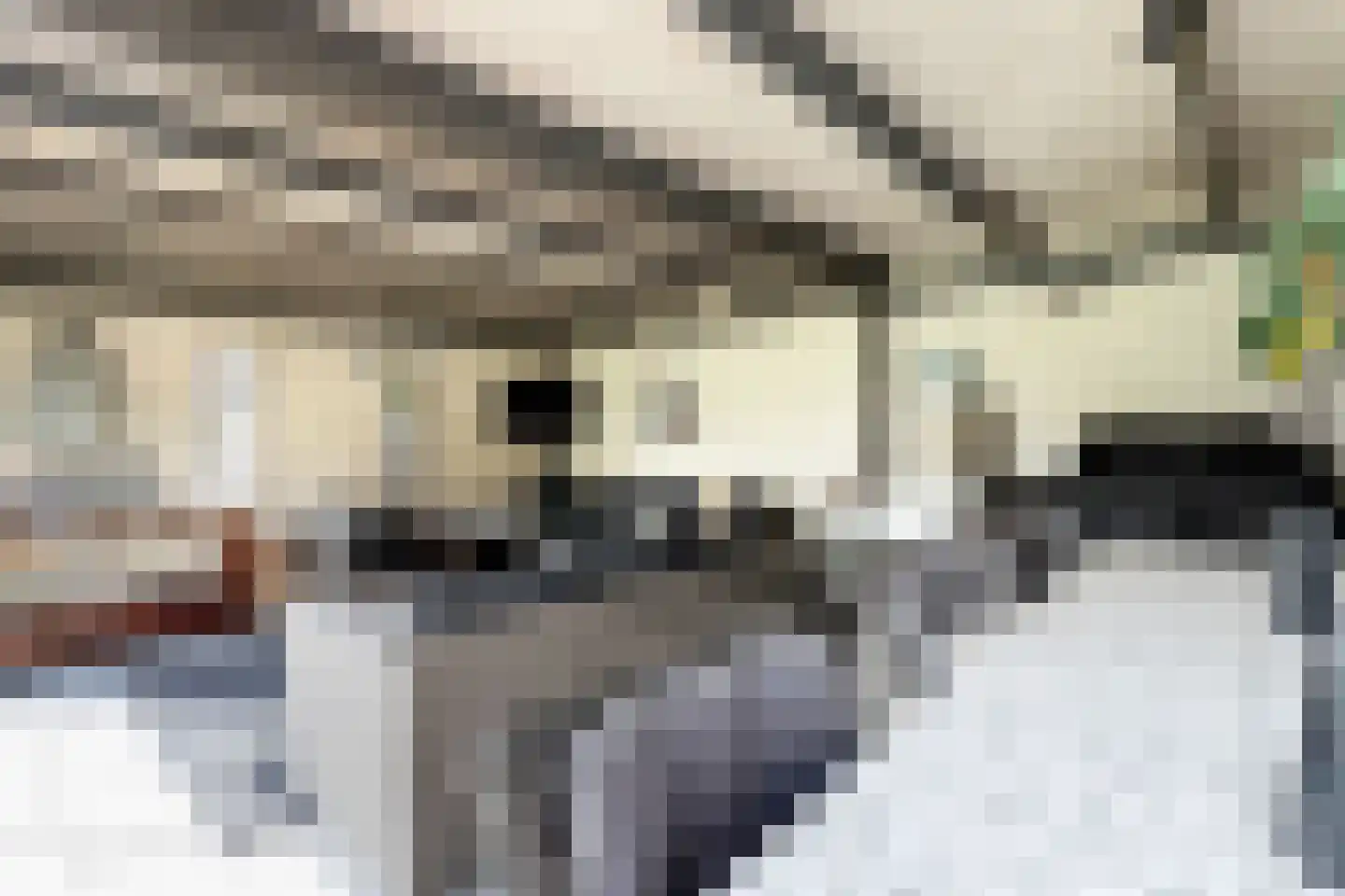 Dr. Poelsstraat 23 Standdaarbuiten thumbnail 72