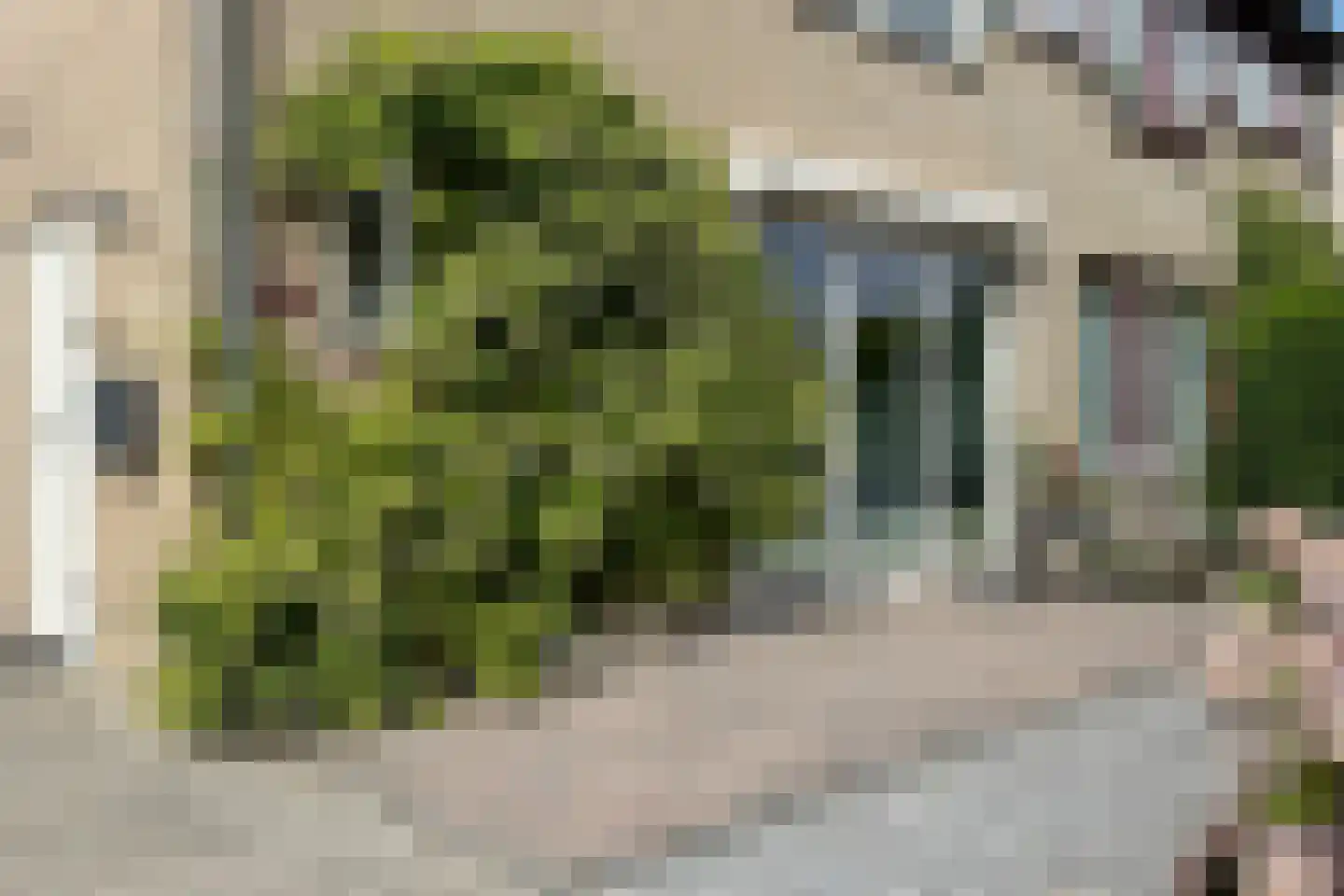 Dr. Poelsstraat 23 Standdaarbuiten thumbnail 75