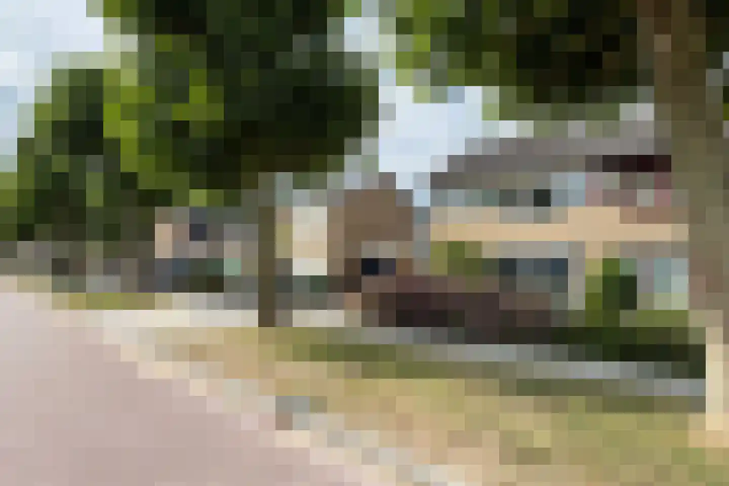 Dr. Poelsstraat 23 Standdaarbuiten thumbnail 81