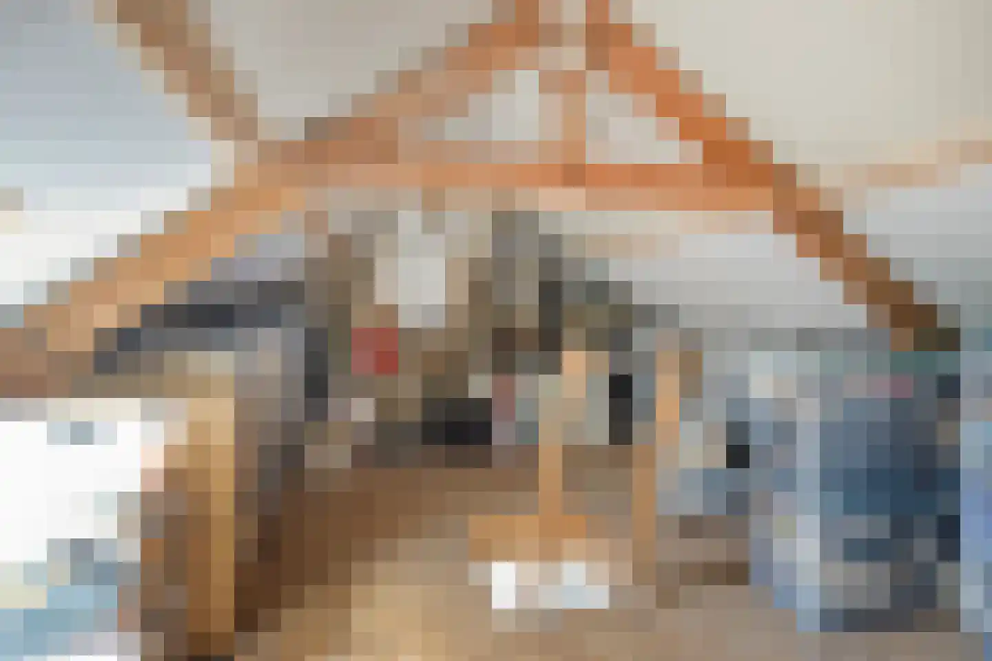 Dr. Poelsstraat 3 Posterholt thumbnail 32