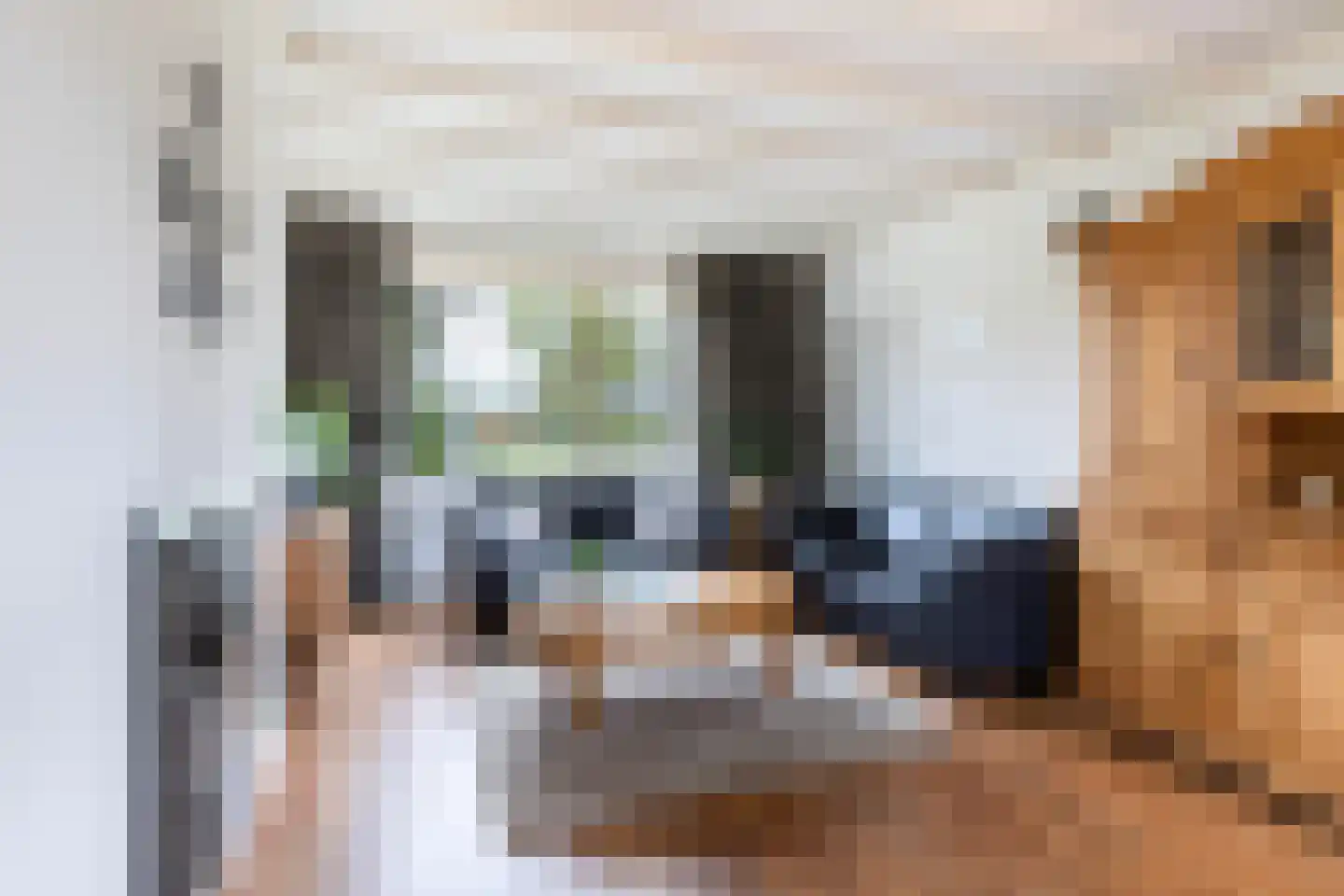 Dr.Poelsstraat 31 Gennep thumbnail 10