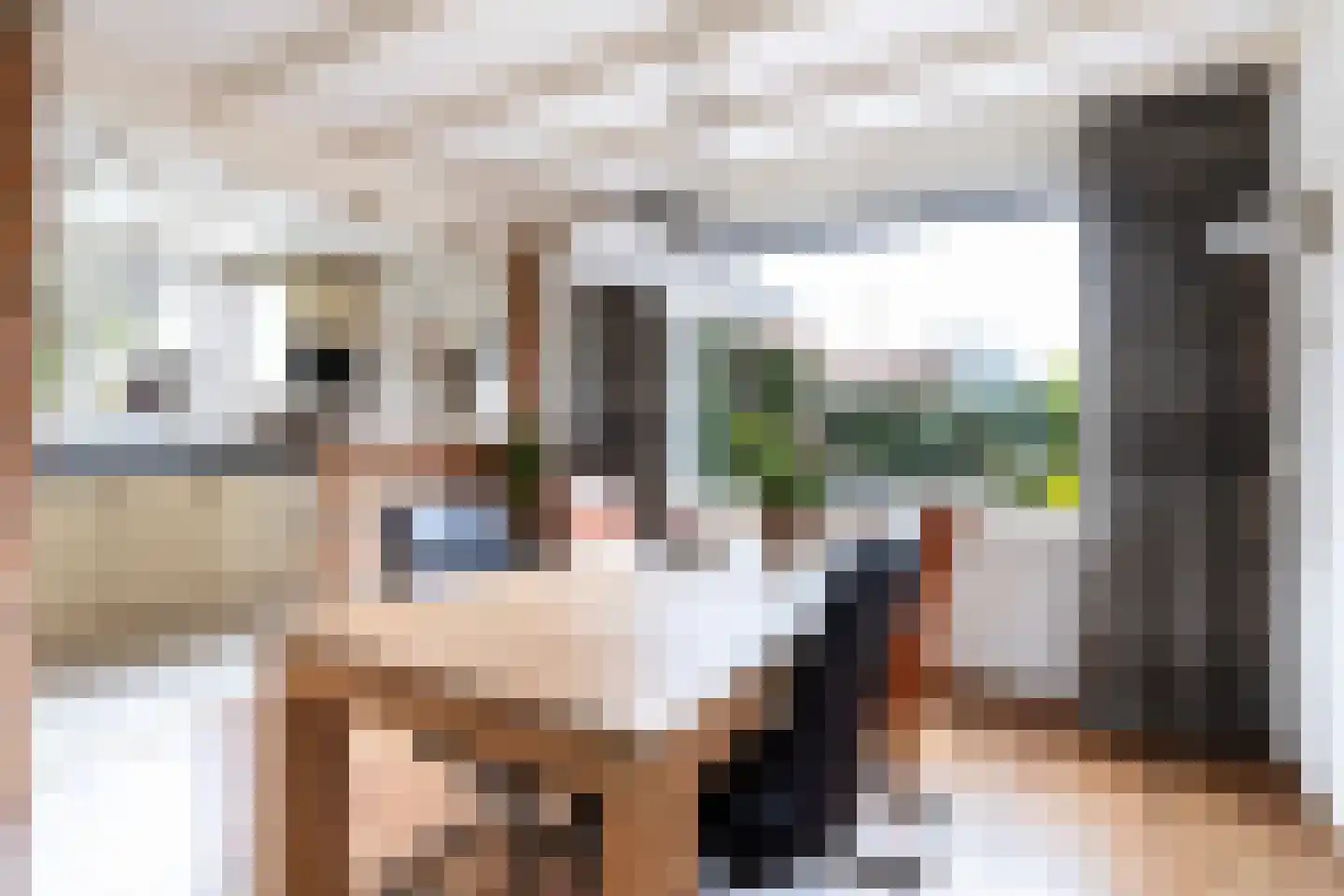 Dr.Poelsstraat 31 Gennep thumbnail 12