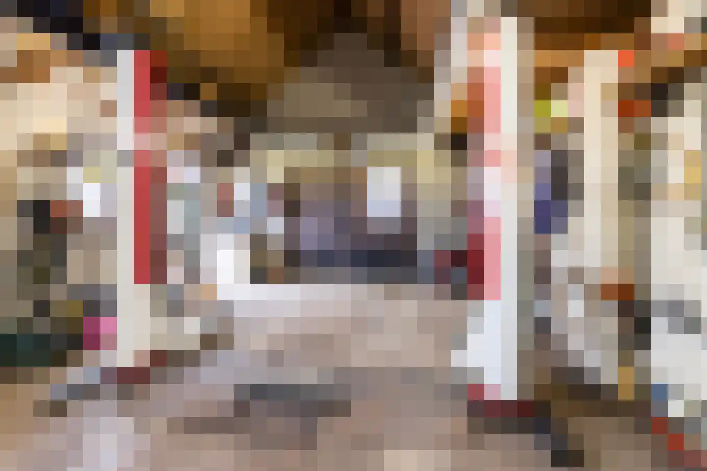 Dr.Poelsstraat 31 Gennep thumbnail 28