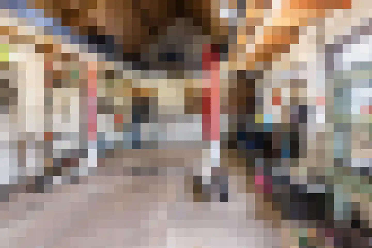 Dr.Poelsstraat 31 Gennep thumbnail 29