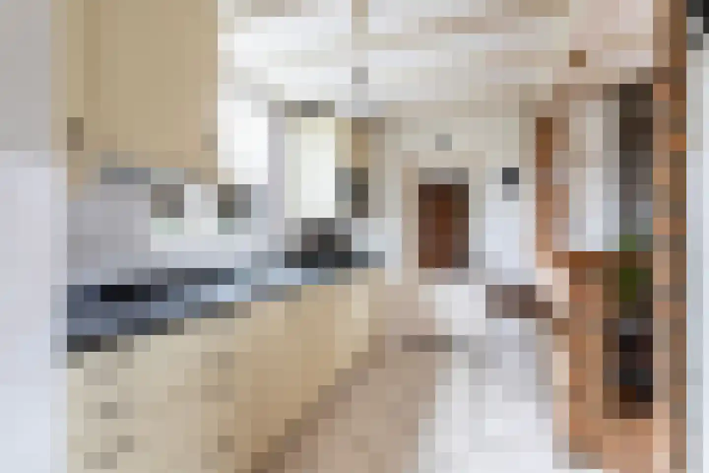 Dr.Poelsstraat 31 Gennep thumbnail 8