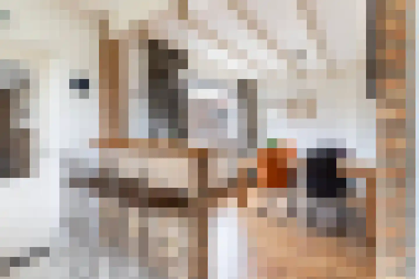 Dr.Poelsstraat 31 Gennep thumbnail 9