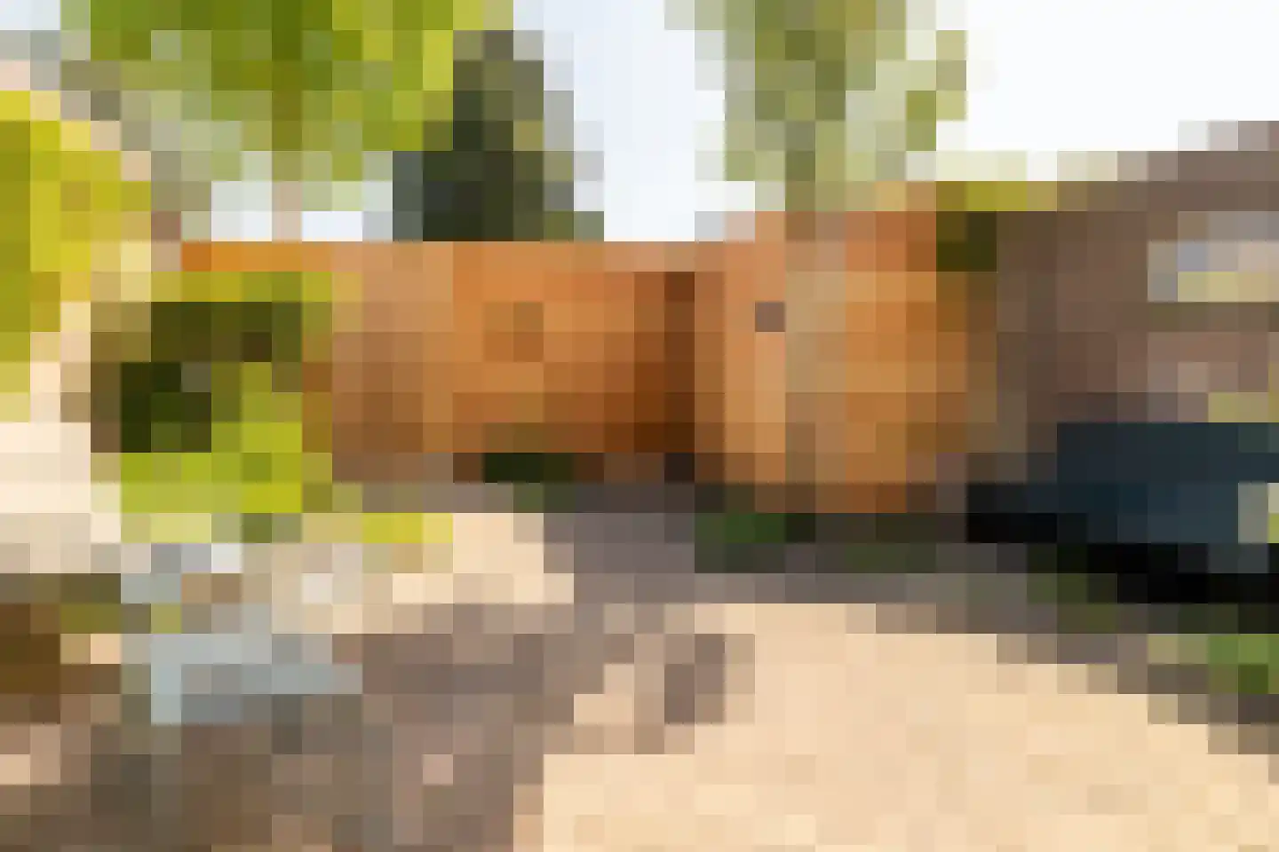 Dr. Poelsstraat 31 Oosterhout thumbnail 21