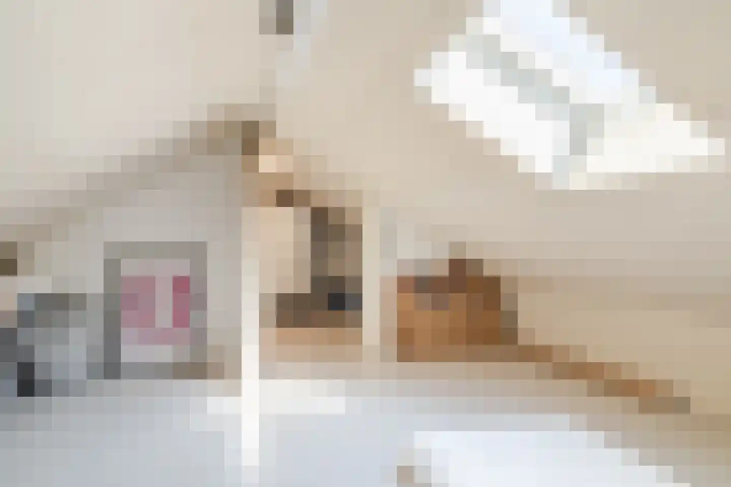 Dr. Poelsstraat 31 Oosterhout thumbnail 31